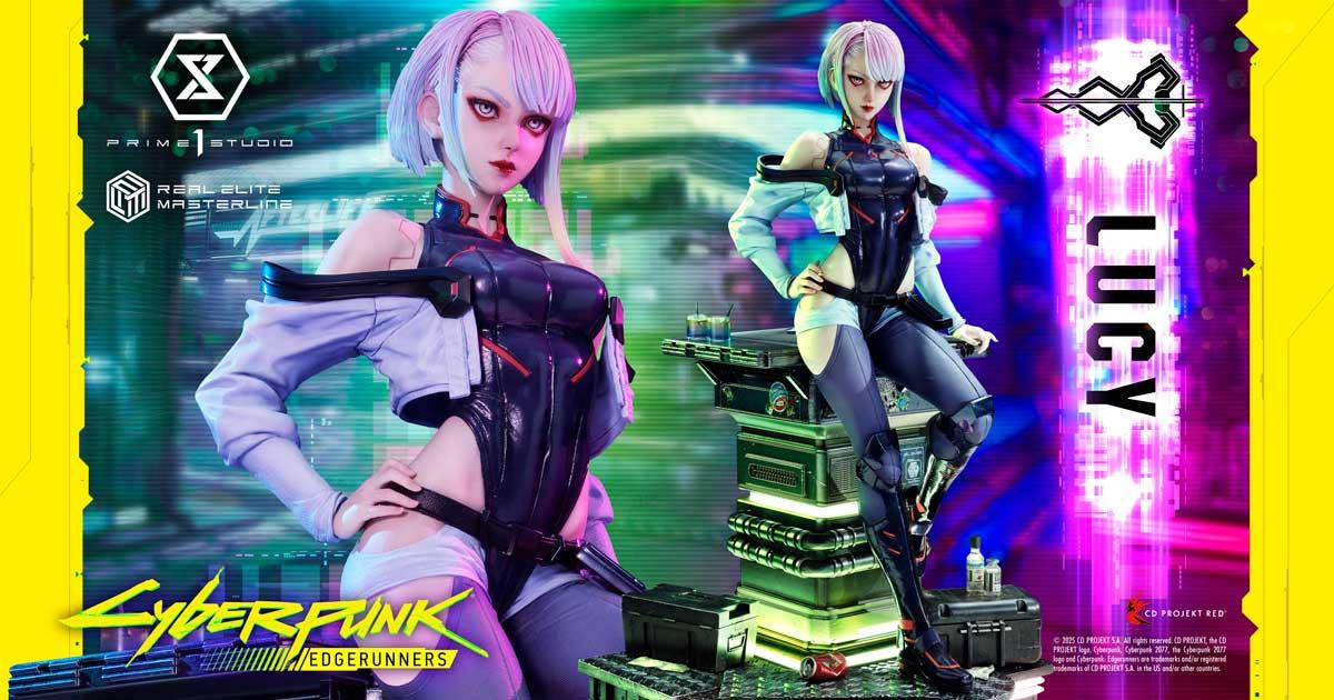 DVD 世界名作劇場·完結版 南の虹のルーシー 他 計12巻 - メルカリ【