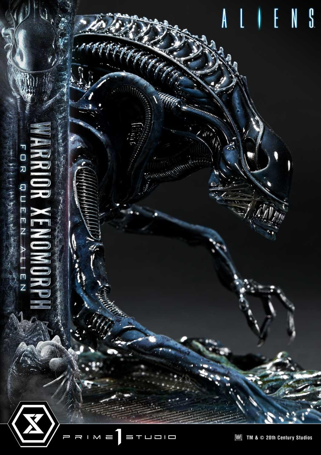 XENOMORPH WARRIOR ゼノモーフ ウォーリアー ウォーリアーゼノモーフ | スタチュー | プライム1スタジオ