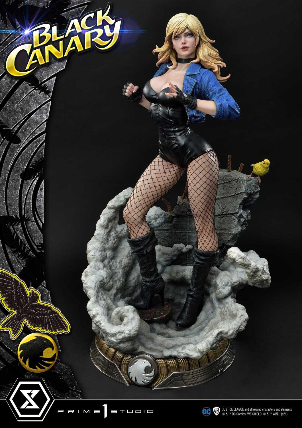 DCマルチバース ブラックキャナリー ブラックキャナリー | DCデータベース wiki | Fandom